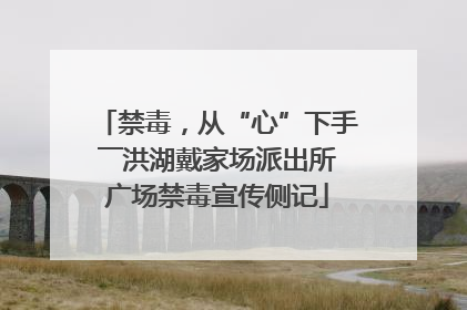 禁毒，从“心”下手――洪湖戴家场派出所广场禁毒宣传侧记