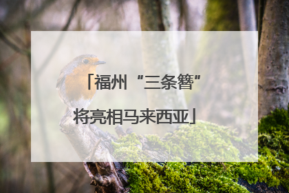 福州“三条簪”将亮相马来西亚