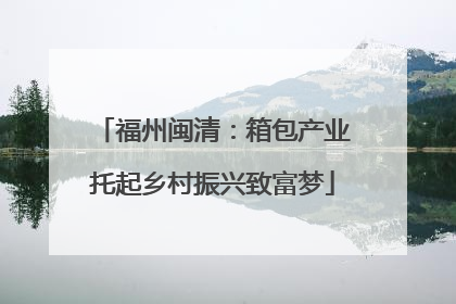 福州闽清：箱包产业托起乡村振兴致富梦
