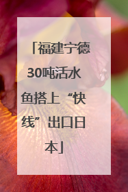 福建宁德30吨活水鱼搭上“快线”出口日本