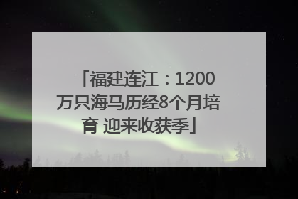 福建连江：1200万只海马历经8个月培育 迎来收获季