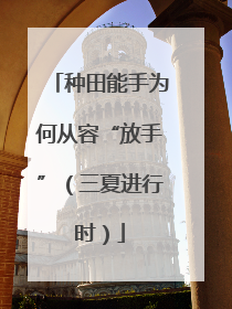 种田能手为何从容“放手”（三夏进行时）
