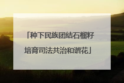 种下民族团结石榴籽 培育司法共治和谐花