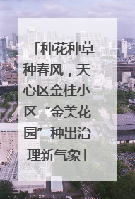 种花种草种春风，天心区金桂小区“金美花园”种出治理新气象