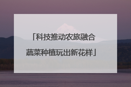 科技推动农旅融合 蔬菜种植玩出新花样