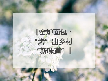 窑炉面包：“烤”出乡村“新味道”