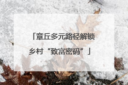 章丘多元路径解锁乡村“致富密码”