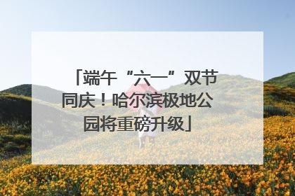 端午“六一”双节同庆！哈尔滨极地公园将重磅升级