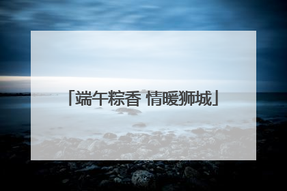 端午粽香 情暖狮城