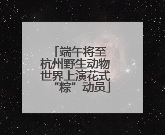 端午将至 杭州野生动物世界上演花式“粽”动员