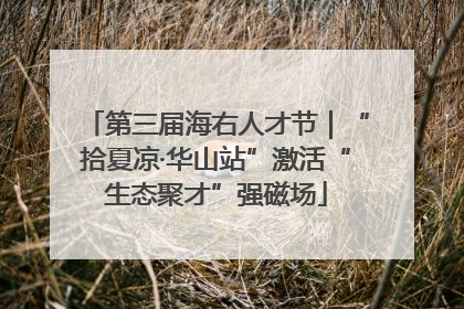 第三届海右人才节｜“拾夏凉·华山站”激活“生态聚才”强磁场