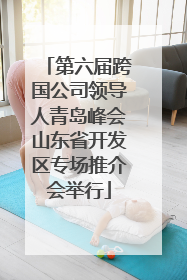 第六届跨国公司领导人青岛峰会山东省开发区专场推介会举行