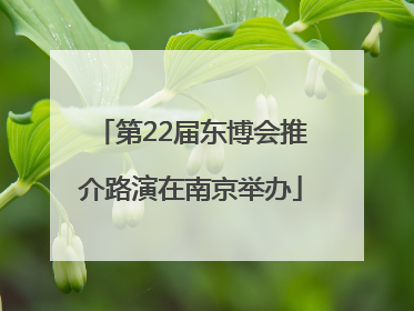 第22届东博会推介路演在南京举办