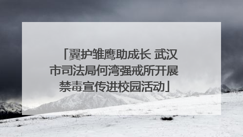 翼护雏鹰助成长 武汉市司法局何湾强戒所开展禁毒宣传进校园活动