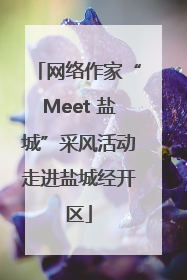 网络作家“Meet 盐城”采风活动走进盐城经开区
