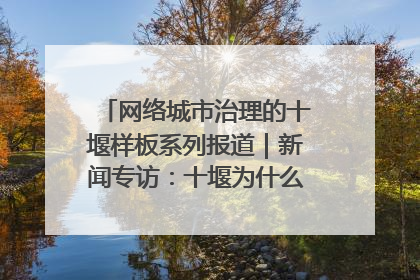 网络城市治理的十堰样板系列报道｜新闻专访：十堰为什么成为“黑马型”城市治理网络维度典型