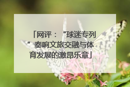 网评：“球迷专列”奏响文旅交融与体育发展的激昂乐章