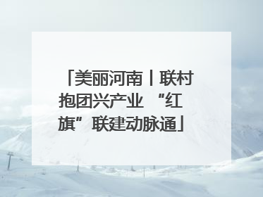 美丽河南丨联村抱团兴产业 “红旗”联建动脉通