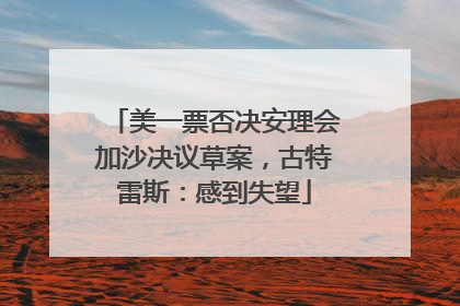 美一票否决安理会加沙决议草案，古特雷斯：感到失望
