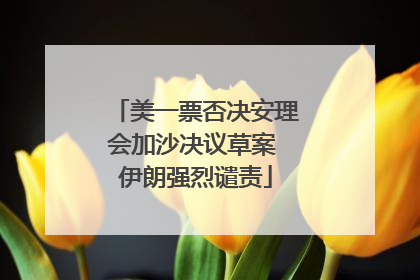 美一票否决安理会加沙决议草案 伊朗强烈谴责
