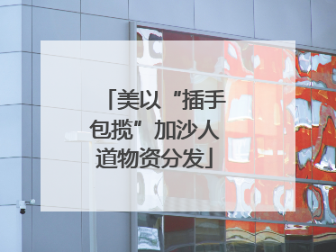 美以“插手包揽”加沙人道物资分发
