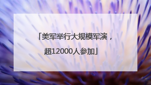 美军举行大规模军演，超12000人参加