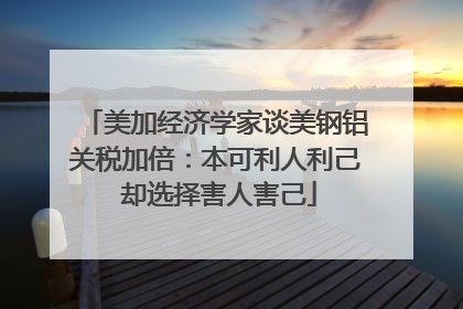 美加经济学家谈美钢铝关税加倍：本可利人利己 却选择害人害己