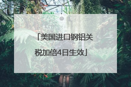 美国进口钢铝关税加倍4日生效