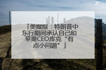 美媒爆：特朗普中东行期间承认自己和苹果CEO库克“有点小问题”