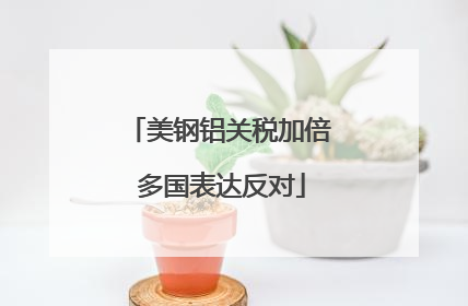 美钢铝关税加倍 多国表达反对