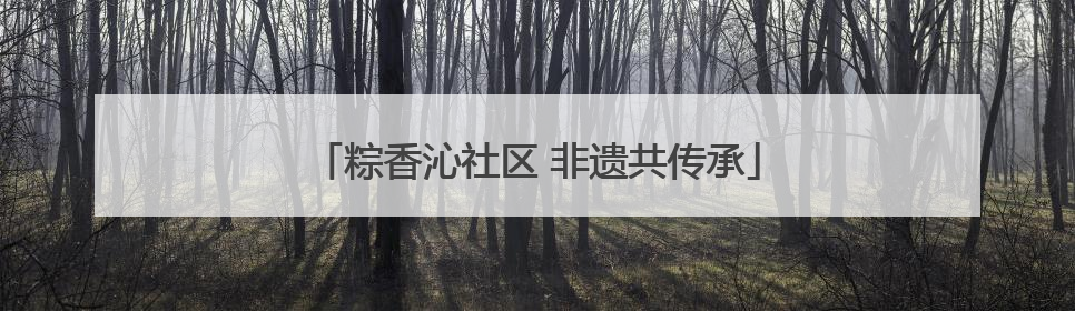 粽香沁社区 非遗共传承