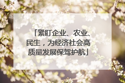 紧盯企业、农业、民生，为经济社会高质量发展保驾护航