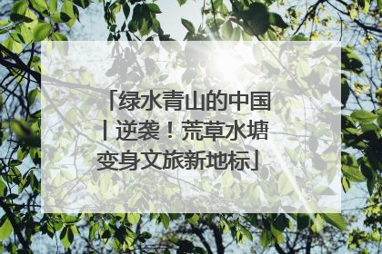 绿水青山的中国丨逆袭！荒草水塘变身文旅新地标