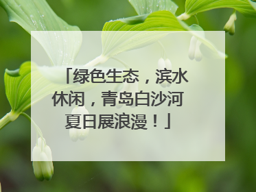 绿色生态，滨水休闲，青岛白沙河夏日展浪漫！