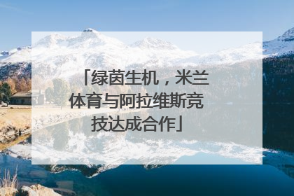 绿茵生机，米兰体育与阿拉维斯竞技达成合作