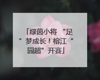 绿茵小将 “足”梦成长！榕江“园超”开赛