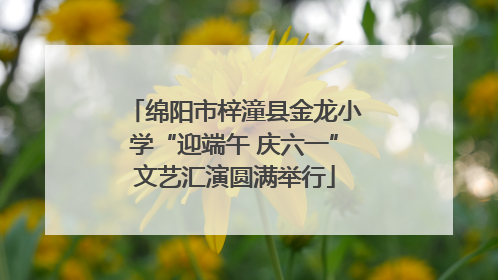 绵阳市梓潼县金龙小学“迎端午 庆六一”文艺汇演圆满举行