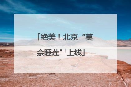 绝美！北京“莫奈睡莲”上线