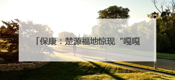 保康：楚源福地惊现“嘎嘎鸡”！国家“三有”保护动物石鸡亮相保康沿河公园