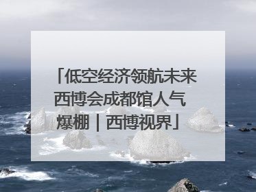 低空经济领航未来 西博会成都馆人气爆棚｜西博视界