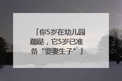 你5岁在幼儿园蹦跶，它5岁已准备“娶妻生子”