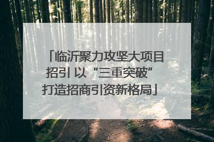 临沂聚力攻坚大项目招引 以“三重突破”打造招商引资新格局