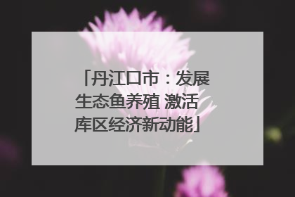 丹江口市：发展生态鱼养殖 激活库区经济新动能