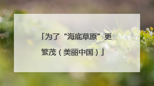 为了“海底草原”更繁茂（美丽中国）