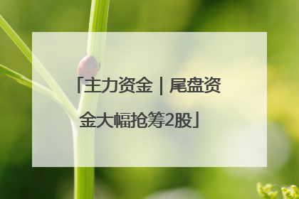 主力资金｜尾盘资金大幅抢筹2股