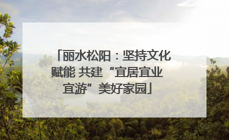 丽水松阳：坚持文化赋能 共建“宜居宜业宜游”美好家园