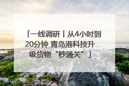 一线调研丨从4小时到20分钟 青岛港科技升级货物“秒通关”
