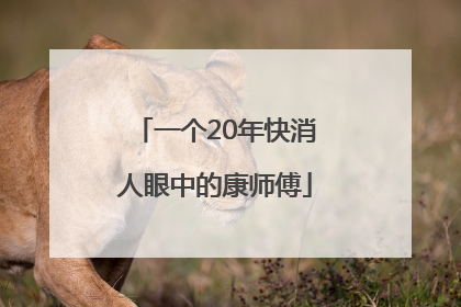 一个20年快消人眼中的康师傅