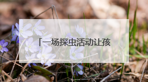 一场探虫活动让孩子念念不忘，自然课堂魅力何在？