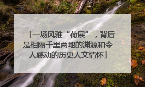 一场风雅“荷展”，背后是相隔千里两地的渊源和令人感动的历史人文情怀